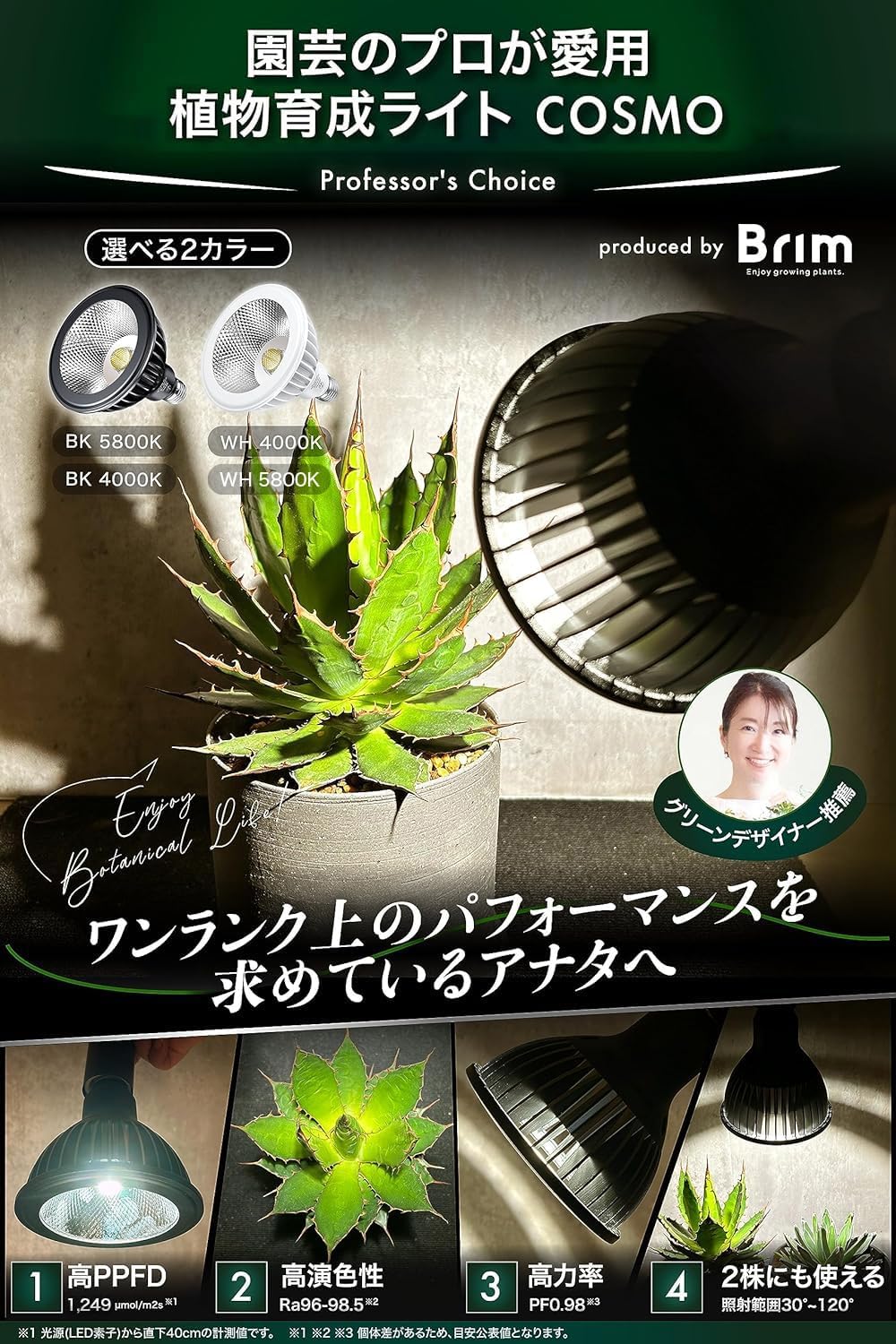 楽天市場】【マラソン期間全品Pt5倍!】BRIM(ブリム) 公式店 グリーン