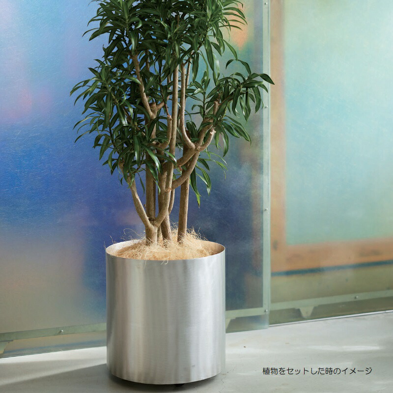 花・観葉植物用ポット フェルム シリンダー キャスター付き L 40/B