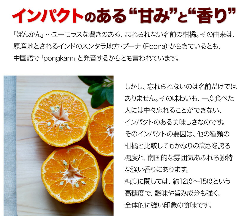 楽天市場】◎ポンカン 訳あり 1.5kg 送料無料 【複数購入で最大+4.5kg