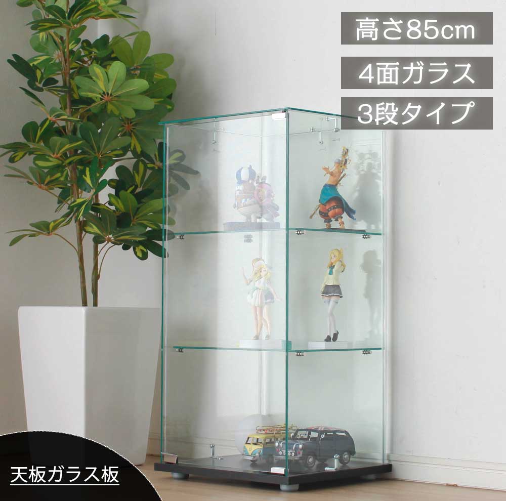 楽天市場】☆新生活応援クーポン配布中 ガラスコレクションケース