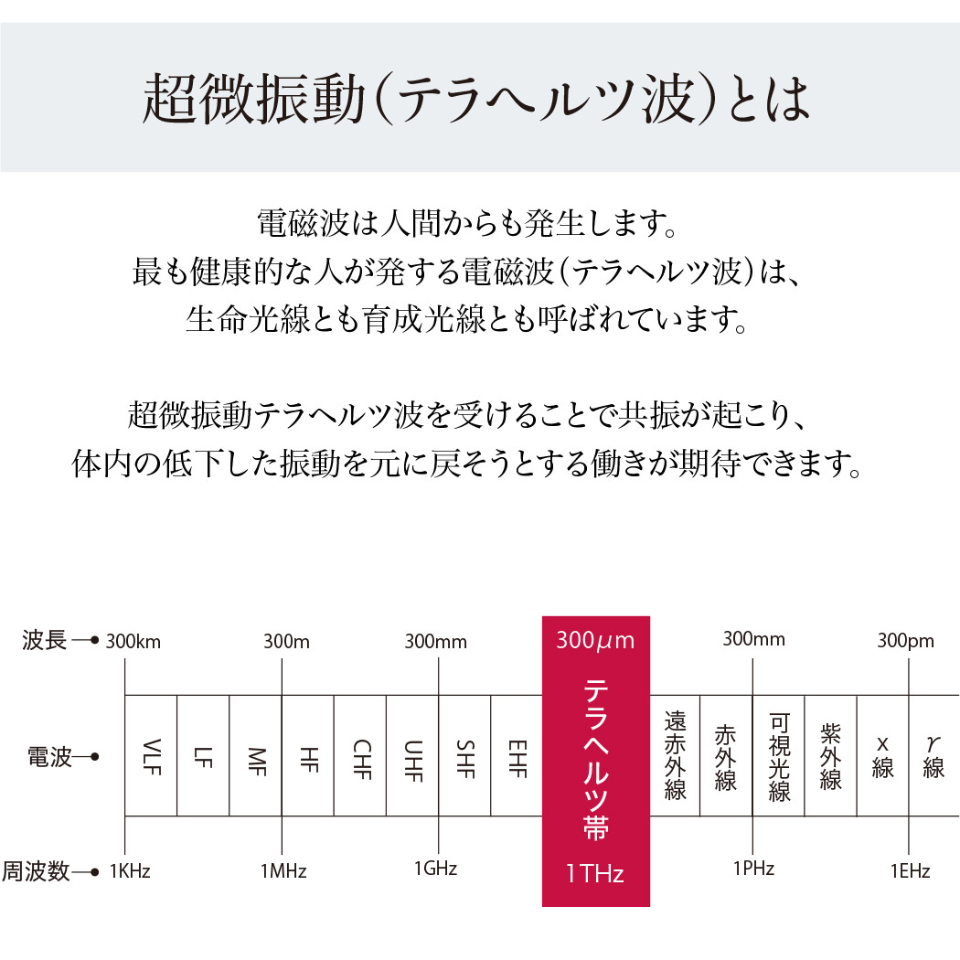 楽天市場】ufvエッグローラー 美顔器 美顔ローラー コロコロ