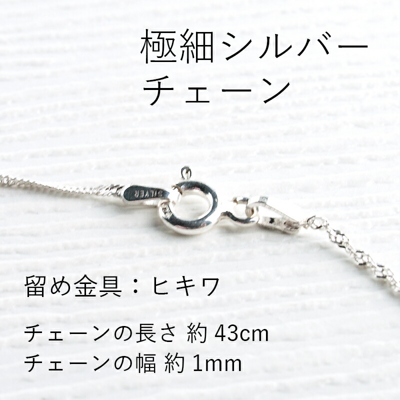 楽天市場】【2点で180円offクーポン対象!!】】【定形外】【20周年記念