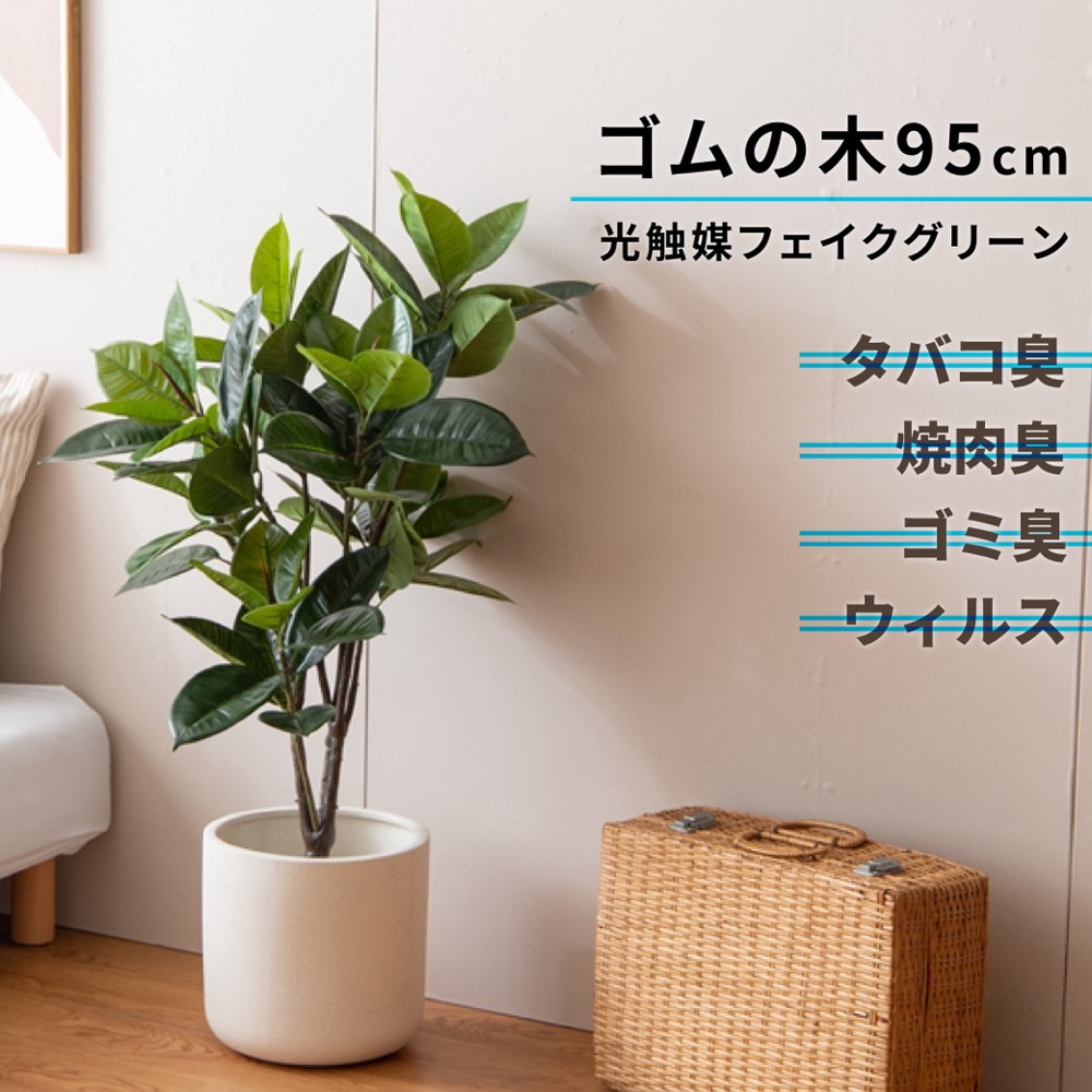 楽天市場】レビュー特典あり フェイクグリーン 大型 ゴムの木 光触媒