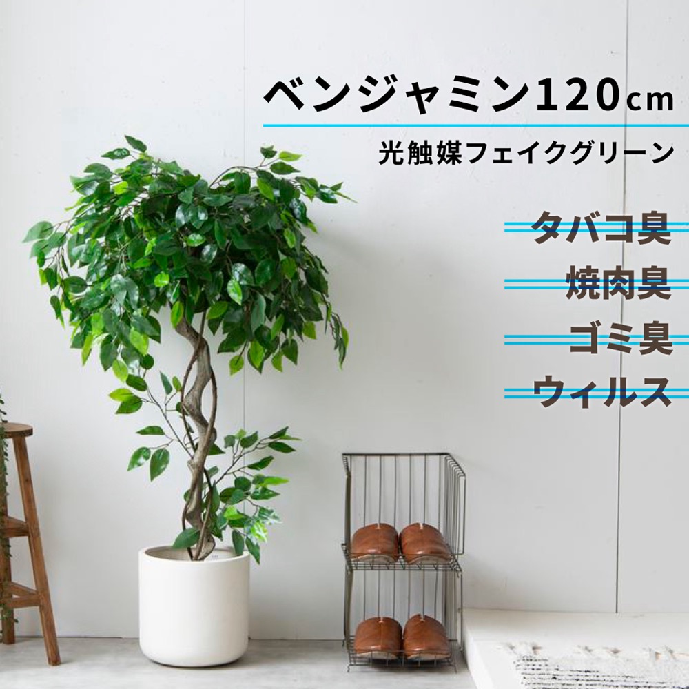 楽天市場】最大P27C300 レビュー特典あり フェイクグリーン 大型