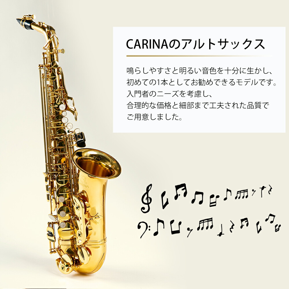楽天市場】アルトサックス 初心者 入門セット 9点セットゴールド