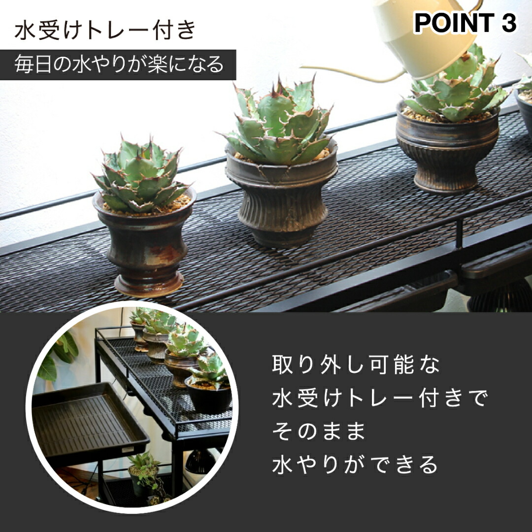 楽天市場】水受けトレー付植物棚 ガベラック 植物棚 アガベ 塊根植物
