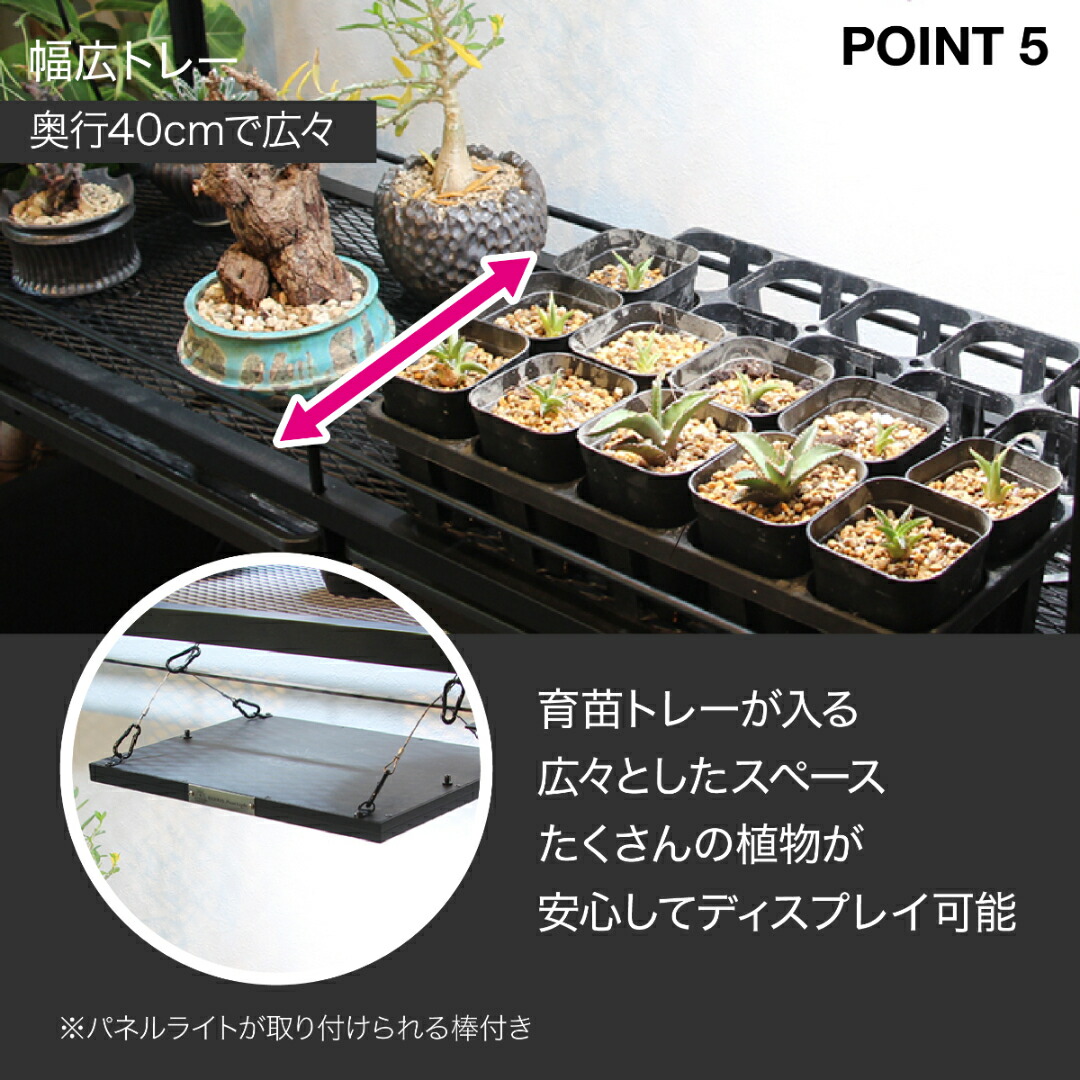 楽天市場】水受けトレー付植物棚 ガベラック 植物棚 アガベ 塊根植物