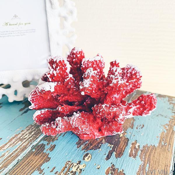 楽天市場】オブジェ インテリア サンゴ 珊瑚 さんご コーラル レッド