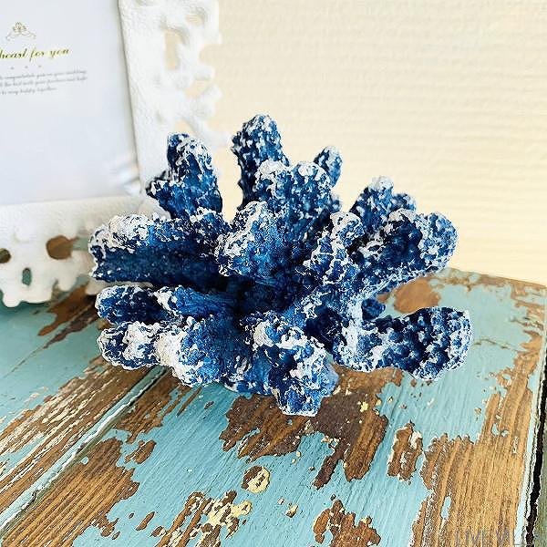 楽天市場】オブジェ インテリア サンゴ 珊瑚 さんご コーラル レッド