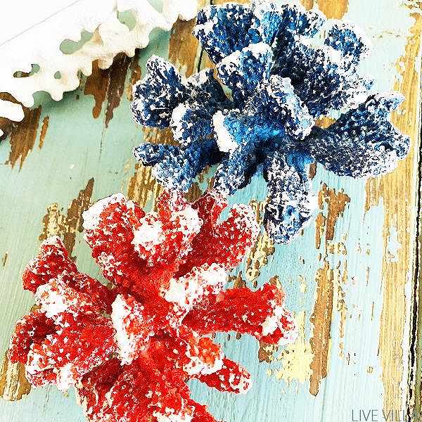 楽天市場】オブジェ インテリア サンゴ 珊瑚 さんご コーラル レッド