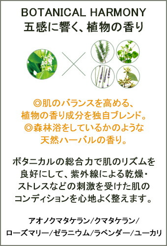 楽天市場】【アルファピニサンプル付】【ポイント11倍】アルファピニ28