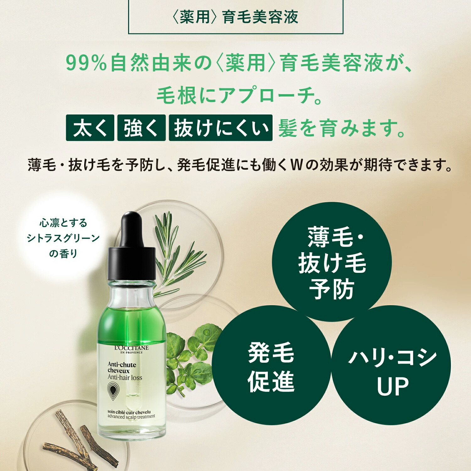 楽天市場】【公式】ロクシタン L'OCCITANE アドバンスドスカルプケア