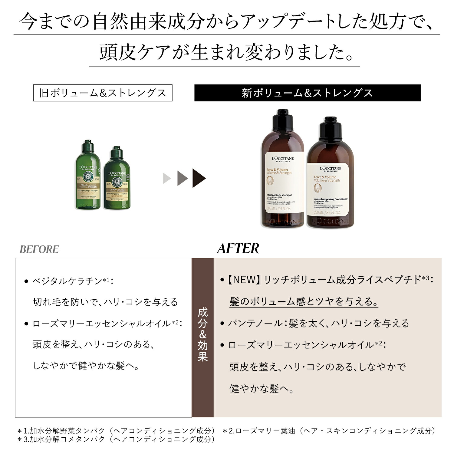 楽天市場】【公式】ロクシタン L'OCCITANE ボリューム＆ストレングス