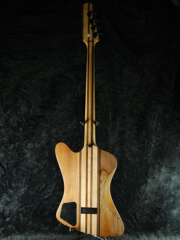 楽天市場】Epiphone Thunderbird Pro IV 新品 ナチュラルオイル