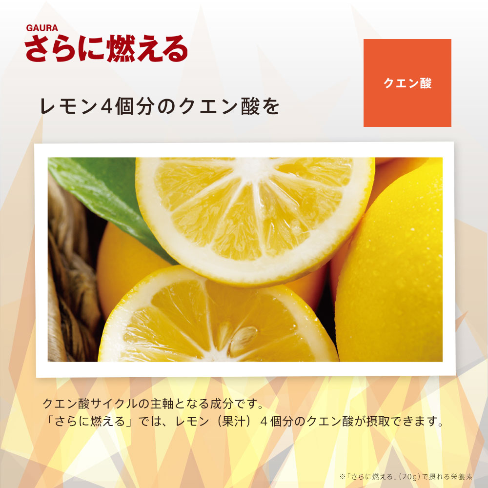 楽天市場】［送料無料］［高評価］［ガウラ公式］GAURA さらに燃える