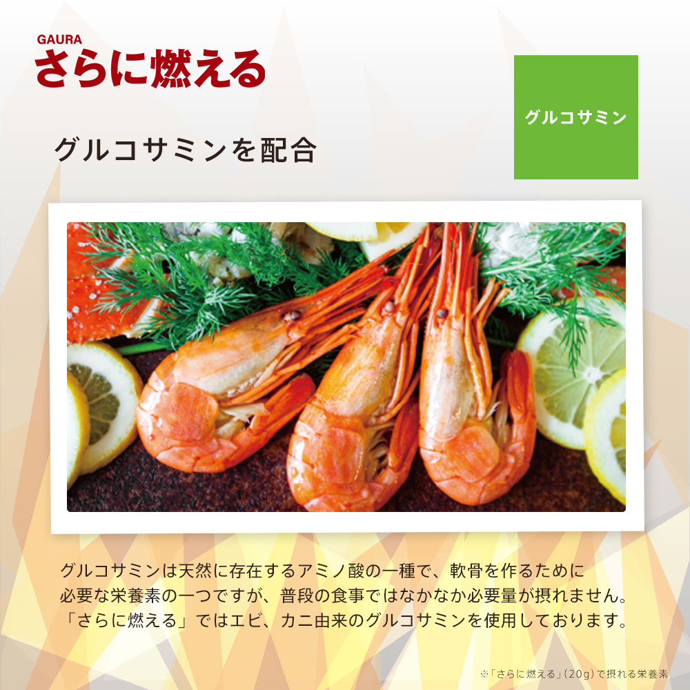 楽天市場】［送料無料］［高評価］［ガウラ公式］GAURA さらに燃える