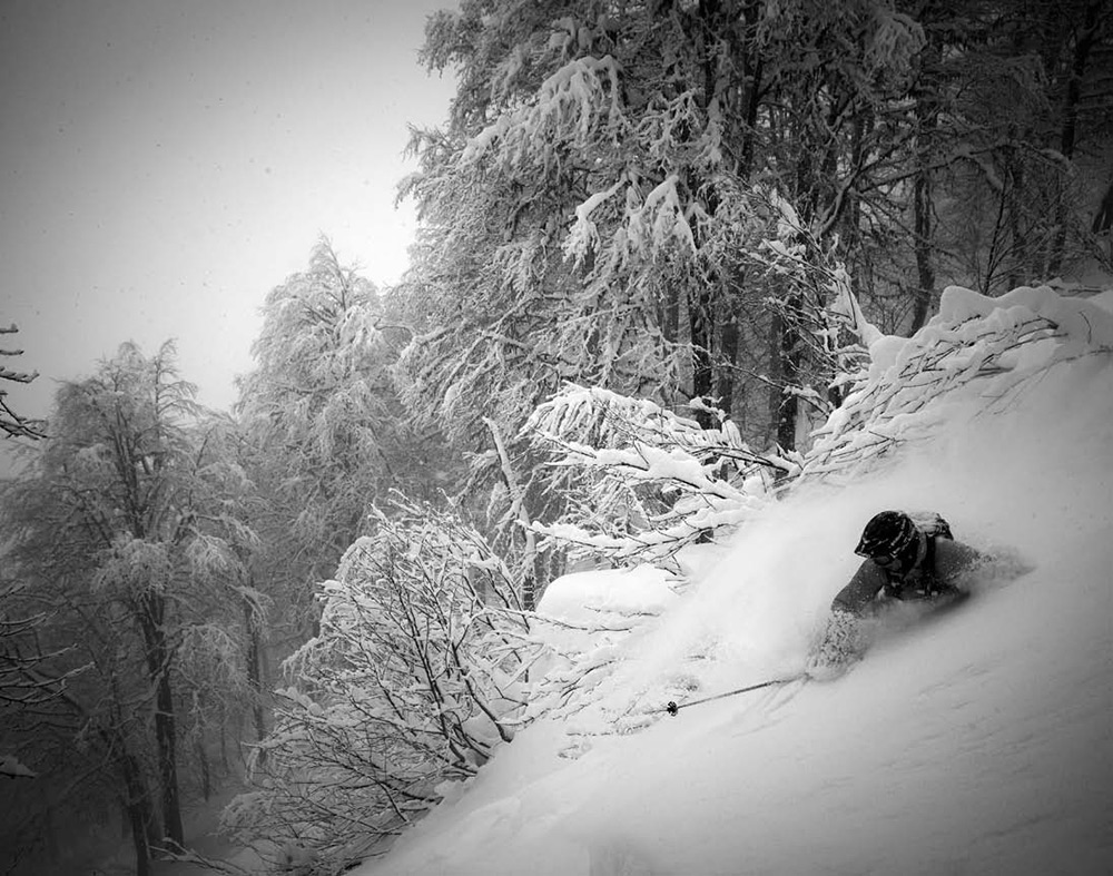 楽天市場】雪崩ビーコン バックカントリー アルバ ARVA EVO5 エボ