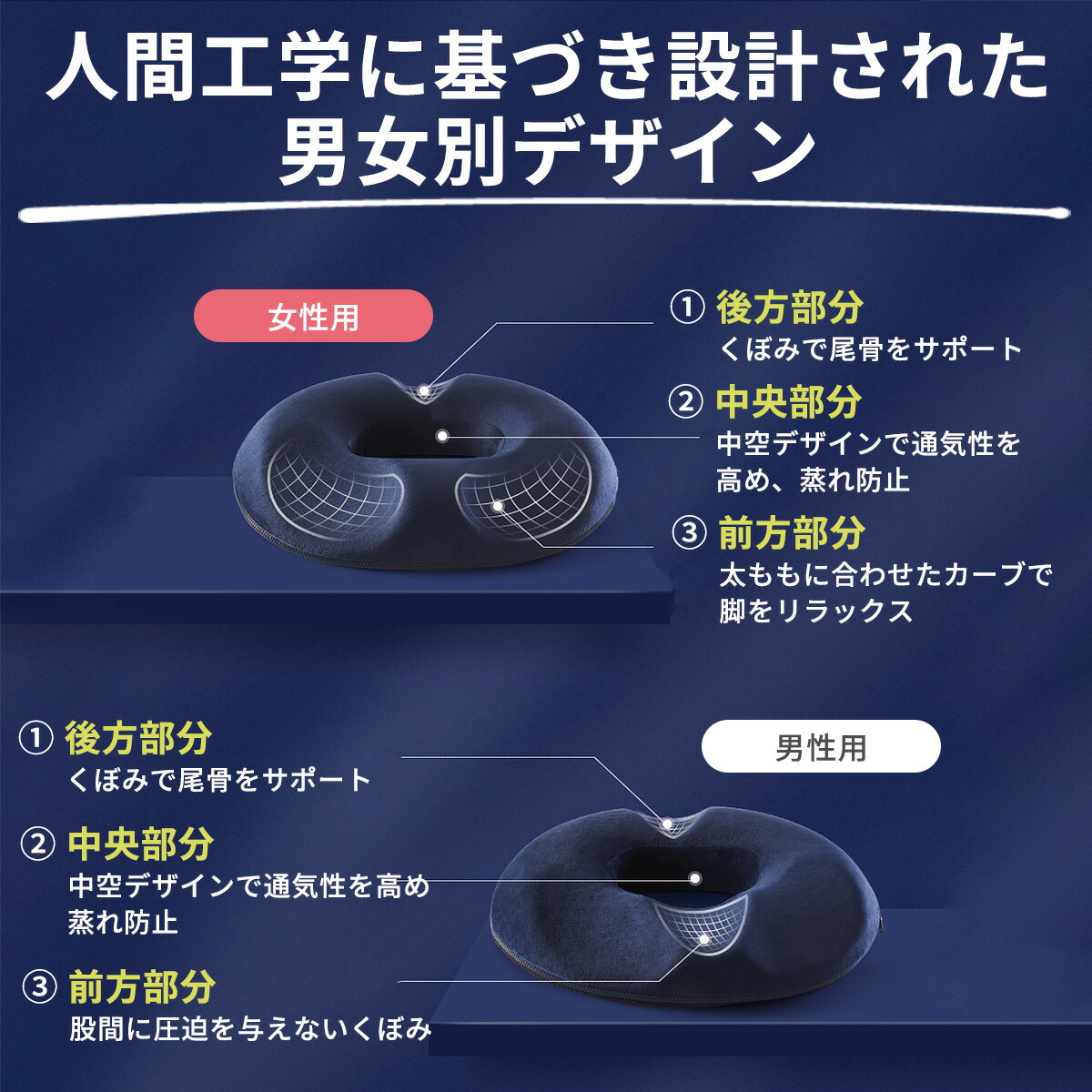 楽天市場】【安心保証】整体師推薦 円座クッション 滑り止め付き 体圧