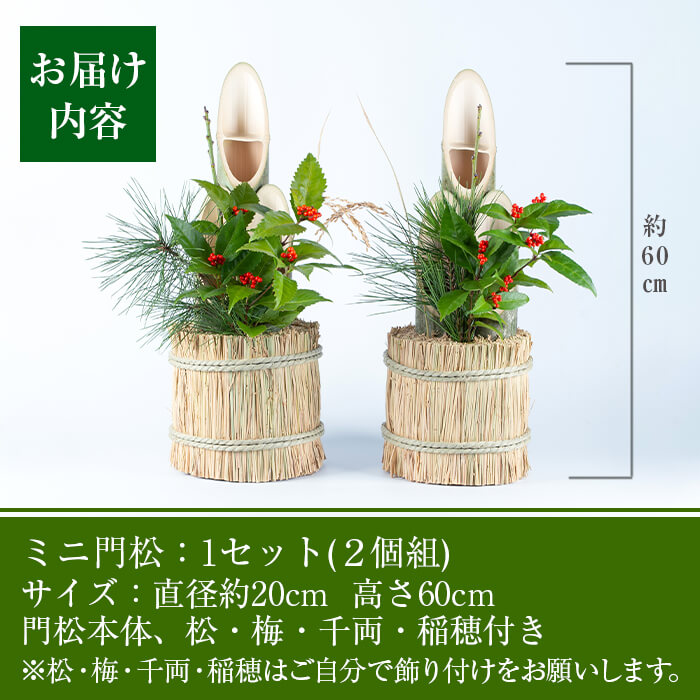 楽天市場】【ふるさと納税】【数量限定】＜2025年12月23日より順次発送
