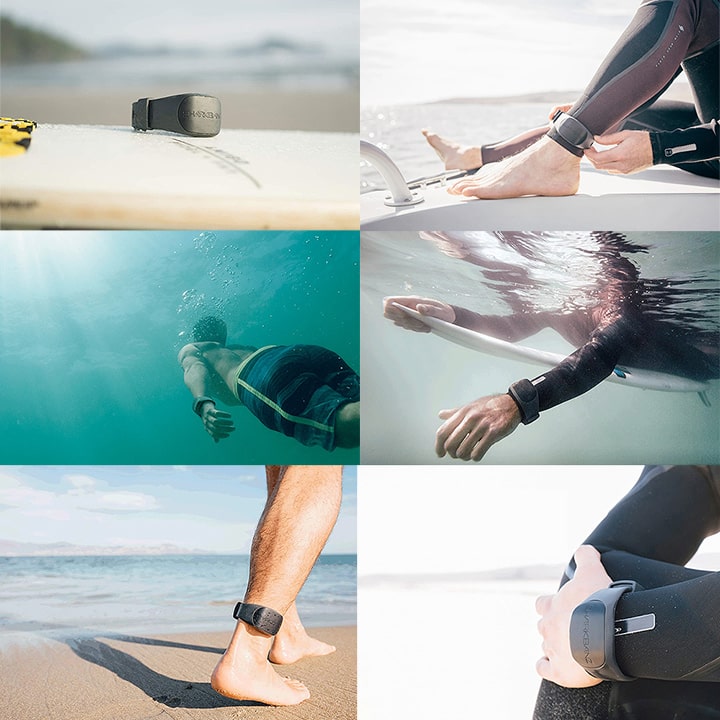 楽天市場】＼2/20 本日0のつく日 P4倍+2倍 最大10%OFF／ シャーク