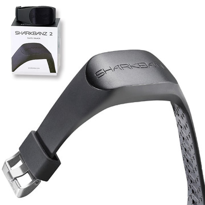 楽天市場】＼2/20 本日0のつく日 P4倍+2倍 最大10%OFF／ シャーク