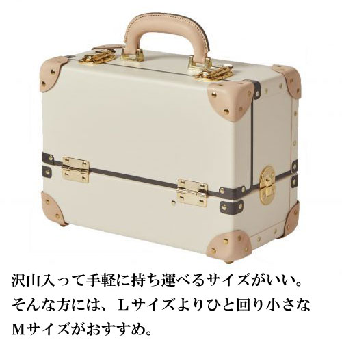 楽天市場】安達紙器工業 タイムボイジャー コレクションバッグ M