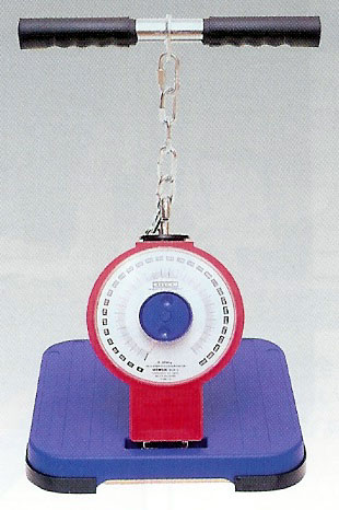 楽天市場】TAKEI TKK5002 アナログ背筋力計 バックA 日本製 SANKA