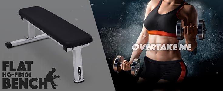 STEADY 懸垂マシン 腹筋 ハイガー フラットベンチ 筋トレ トレーニング