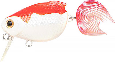 楽天市場】LUCKY CRAFT【ラッキークラフト】金魚・姉金60F