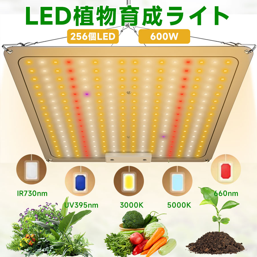 楽天市場】＼赤字覚悟☆先着様在庫大放出！／植物育成ライト LED植物