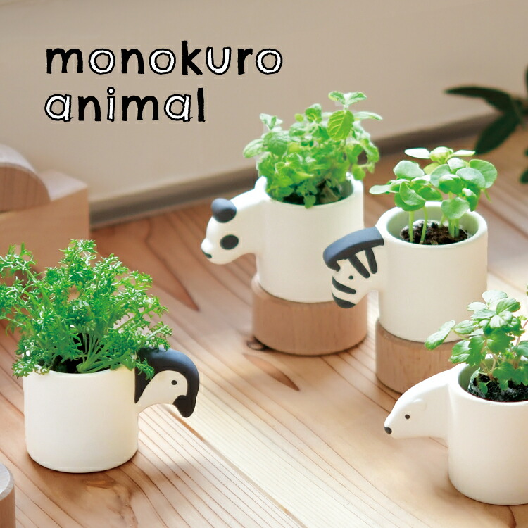 楽天市場】【2月20日 5％OFFクーポン】栽培キット ハーブ / モノクロ