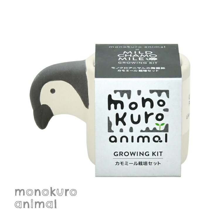 楽天市場】【2月20日 5％OFFクーポン】栽培キット ハーブ / モノクロ