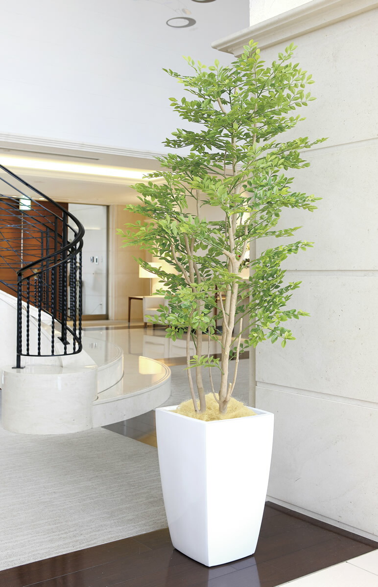 楽天市場】光触媒 光の楽園 アーバンゴールデンリーフ1.8m フェイク