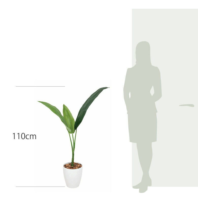 楽天市場】光触媒 観葉植物 光の楽園トラベラーズパーム 高さ1.1m