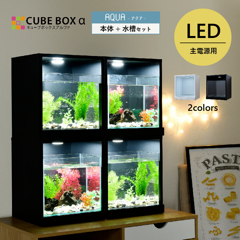 30cm 水槽 LED」の人気商品一覧 | 安い商品を通販サイトから探す