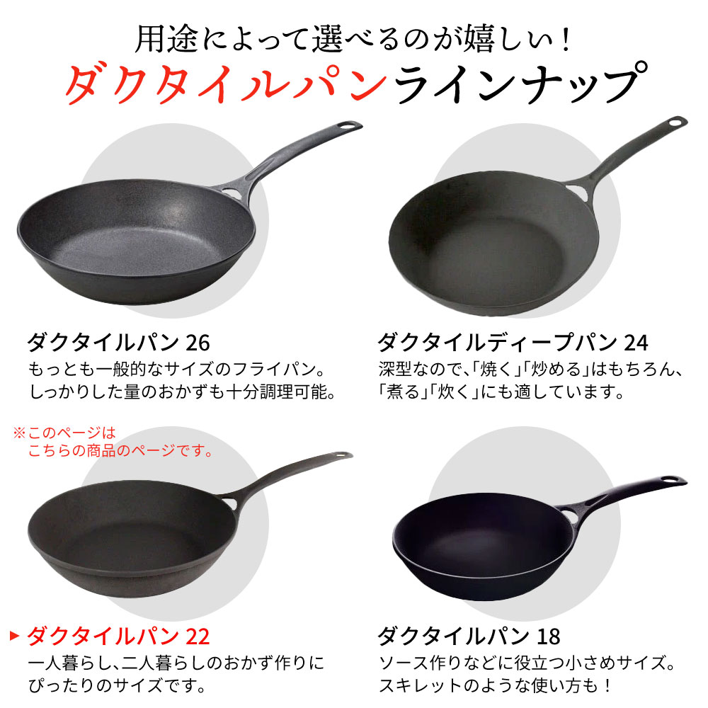 楽天市場】岩鉄鉄器 ダクタイルパン22 鉄器 フライパン 鍋 22cm IH