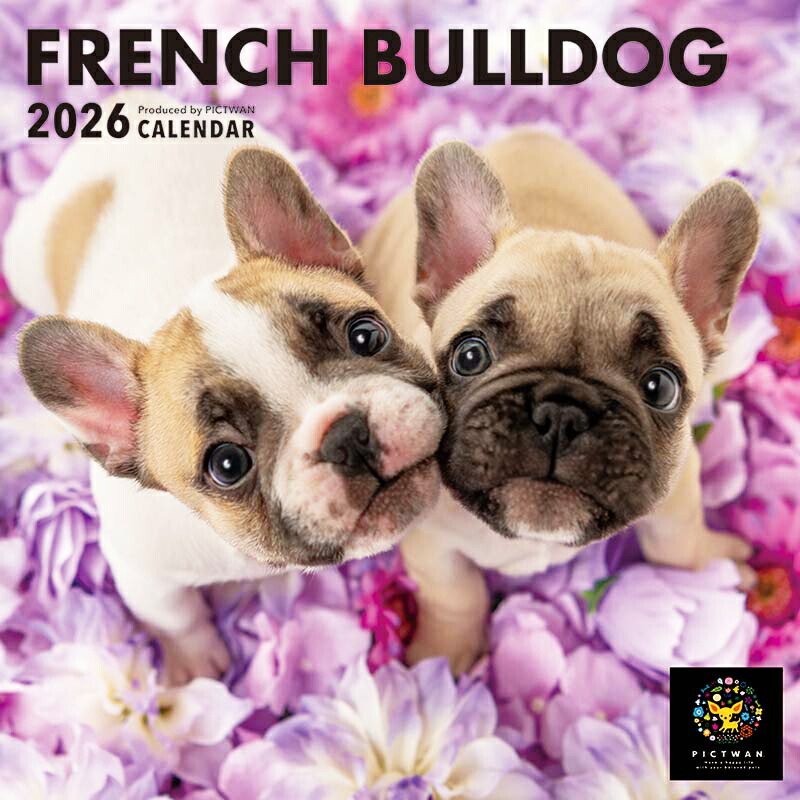 楽天市場】［公式］PICTWANカレンダー 2026年【S判】フレンチ