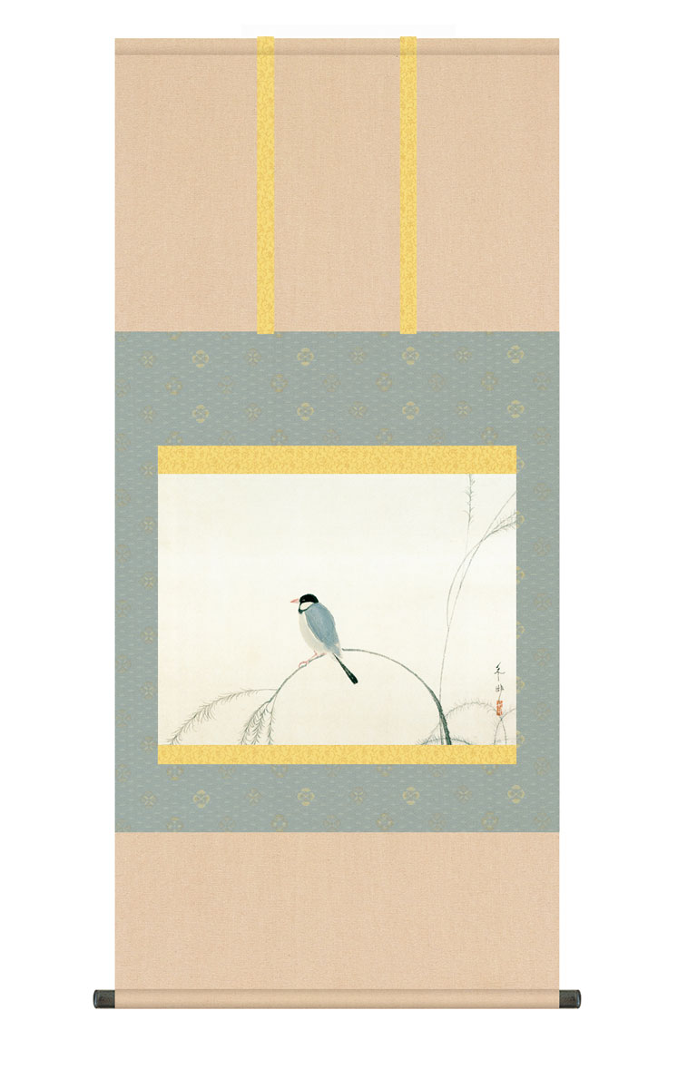 楽天市場】掛け軸 掛軸 文鳥 ぶんちょう 幅54.5×高さ約115cm 速水御舟