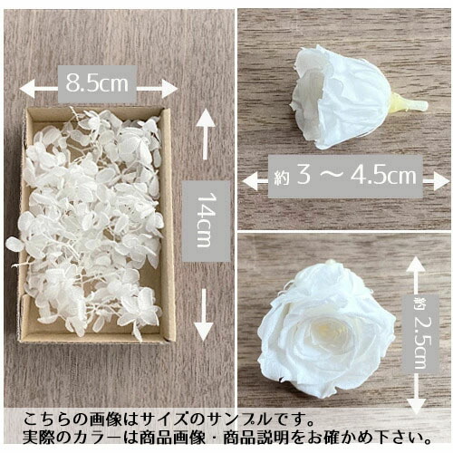 楽天市場】メール便(日本郵便)送料無料 プリザーブドフラワー ホワイト