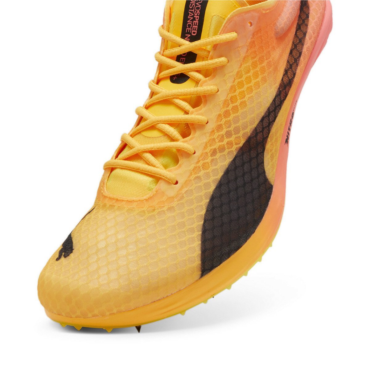 PUMA｜メンズ エヴォスピード ディスタンス ニトロ エリート+4 陸上用