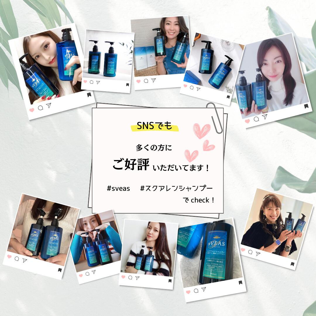 楽天市場】【P5倍！～23日 01:59まで】エスヴィアス 美容セット