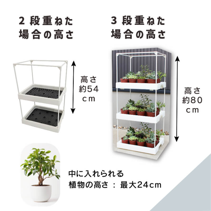 楽天市場】【カーメン君×daim コラボ】daim 多肉マンション 幅35cm