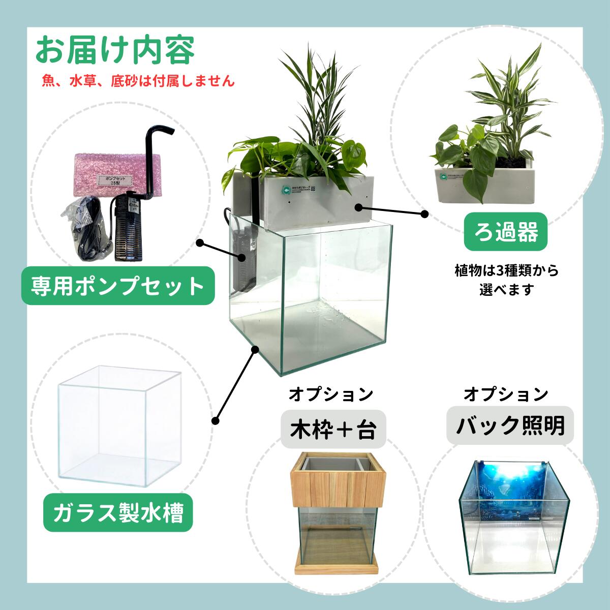 楽天市場】【TVで紹介されました】水換え不要 水槽セット せせらぎ