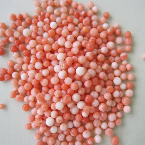 楽天市場】美しい ピンク珊瑚のチップ 一袋10匁 （37.5g） 天然さんご