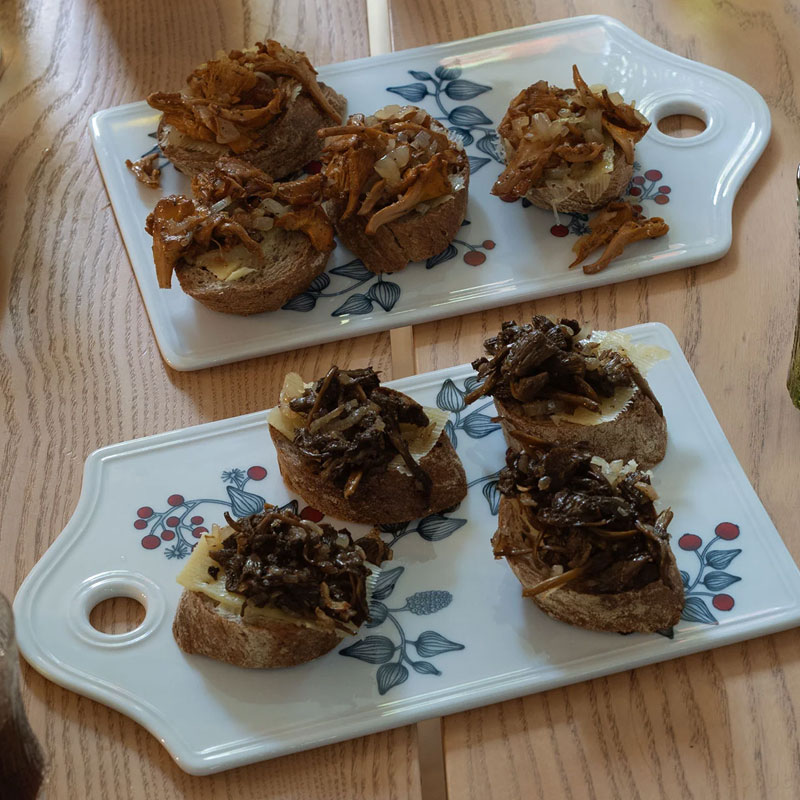 楽天市場】アラビア / ルノ サービングプラター フロストベリー