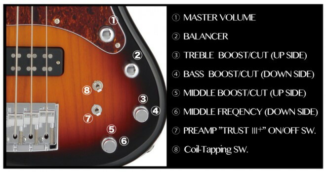 楽天市場】FERNANDES FJB5-DLX PCS 5弦ベース エレキベース コイル