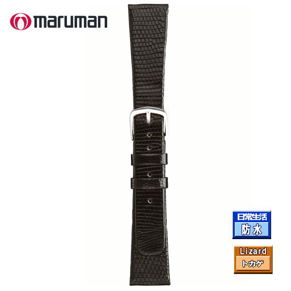 アクセサリー 14mm リザード 時計ベルト」の人気商品一覧 | 安い商品を