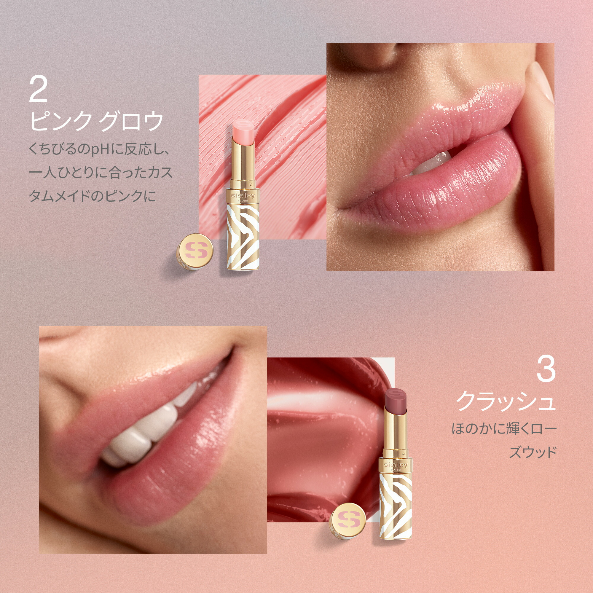 楽天市場】【公式】 シスレー フィト リップ バーム リップバーム