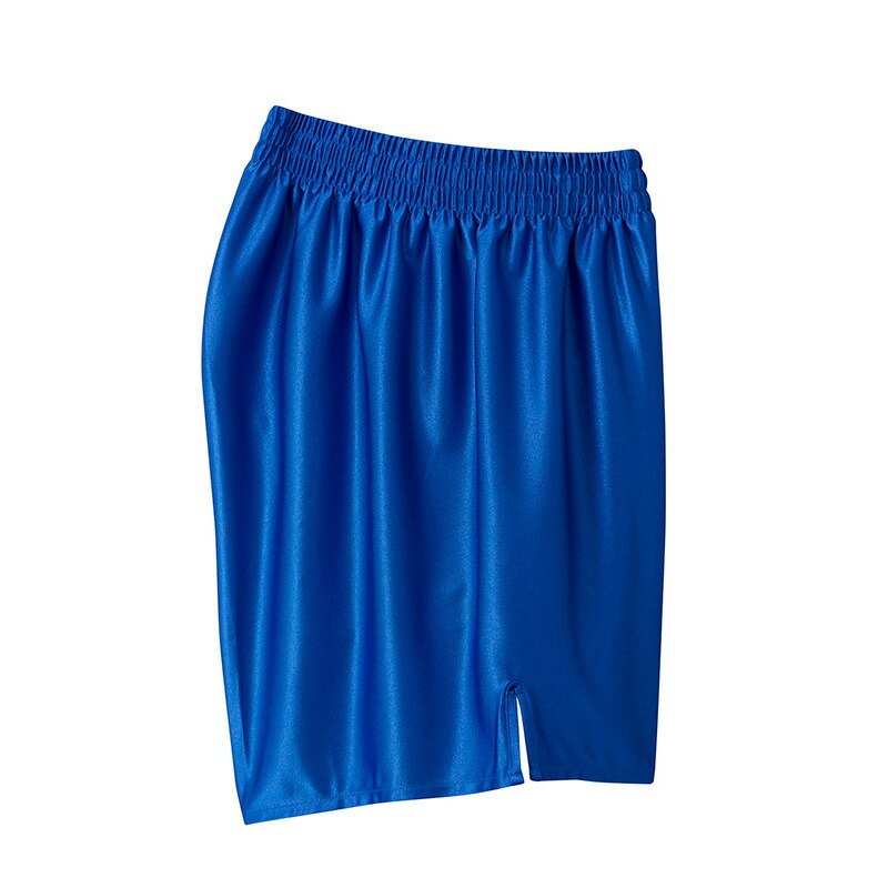 楽天市場】デサント メンズ バレーボールパンツ DSP6111B ストレッチ