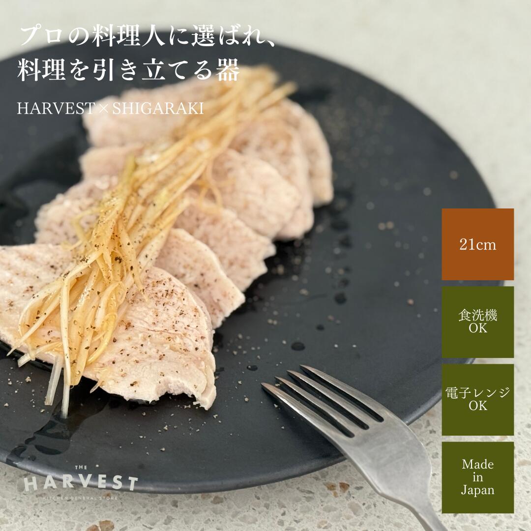 楽天市場】HARVEST kuro フラット プレート 信楽焼 皿 21cm｜和モダン